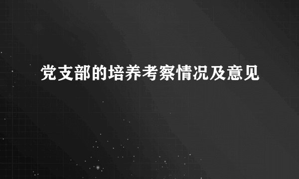 党支部的培养考察情况及意见