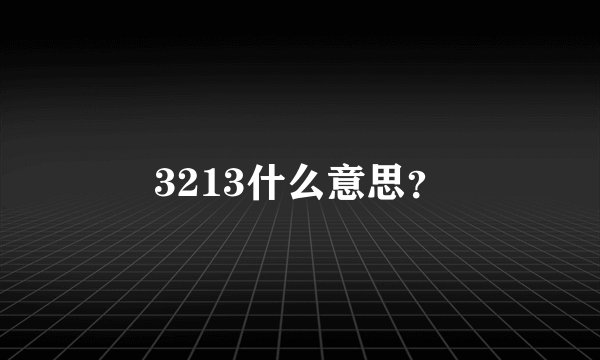 3213什么意思?