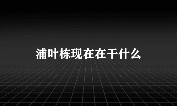 浦叶栋现在在干什么