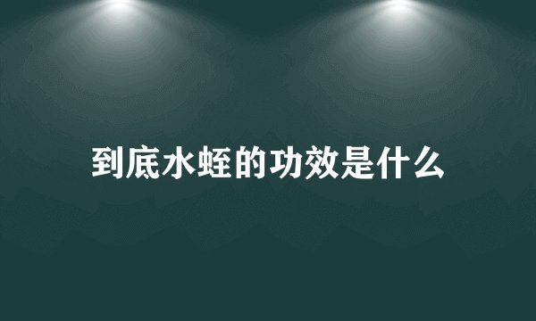 到底水蛭的功效是什么