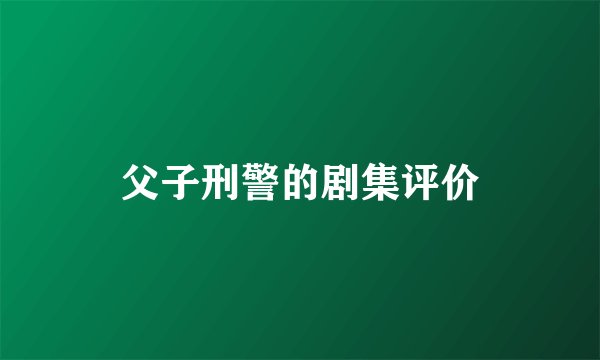 父子刑警的剧集评价