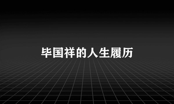 毕国祥的人生履历