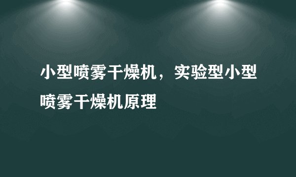 小型喷雾干燥机，实验型小型喷雾干燥机原理