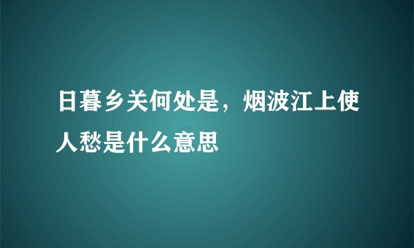 日暮乡关何处是,烟波江上使人愁是什么意思