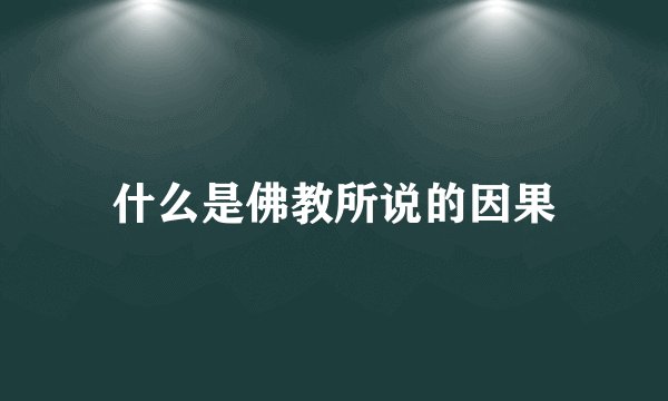 什么是佛教所说的因果