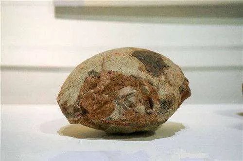 恐龙蛋化石价格行情