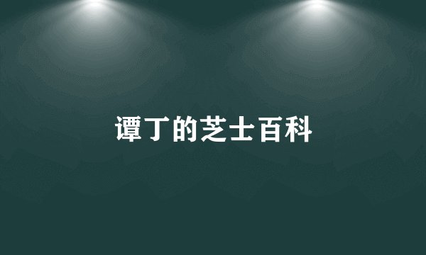 谭丁的芝士百科