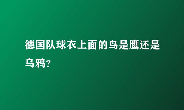 德国队球衣上面的鸟是鹰还是乌鸦？