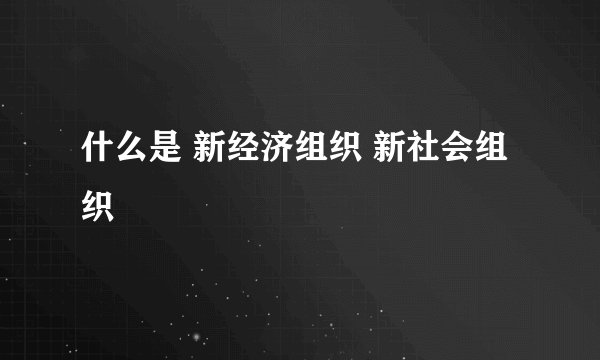 什么是 新经济组织 新社会组织