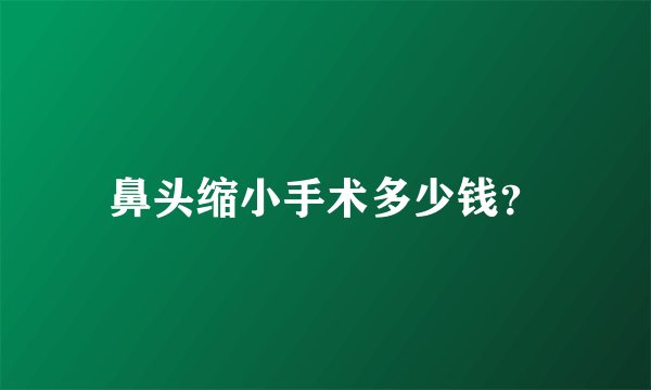 鼻头缩小手术多少钱？