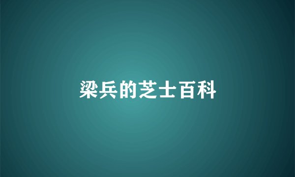 梁兵的芝士百科