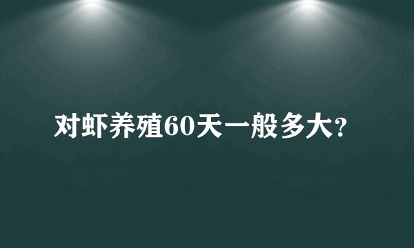 对虾养殖60天一般多大?