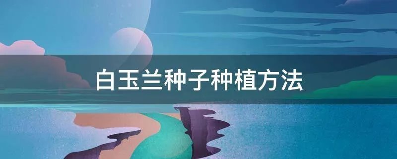 白玉兰种子种植方法