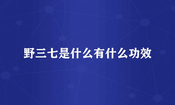 野三七是什么有什么功效