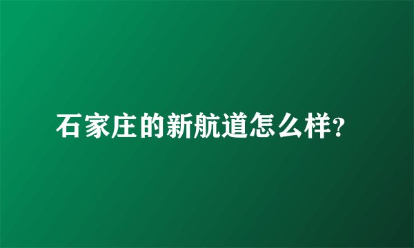 石家庄的新航道怎么样？