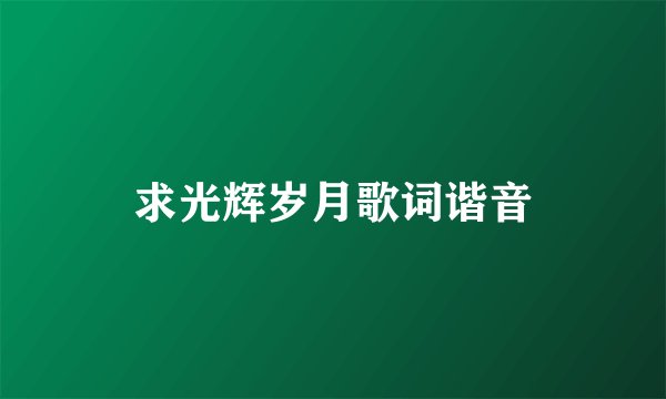 求光辉岁月歌词谐音