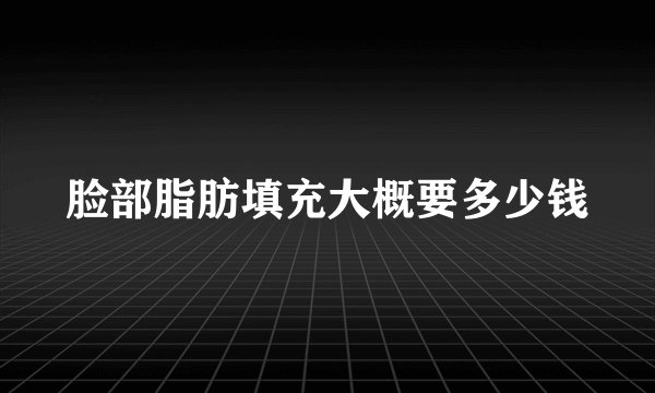 脸部脂肪填充大概要多少钱