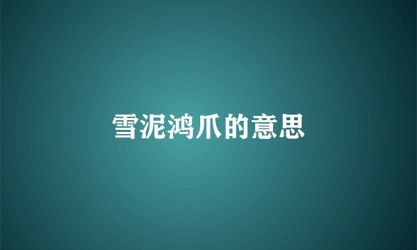 雪泥鸿爪的意思