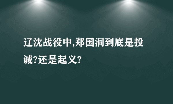 辽沈战役中,郑国洞到底是投诚?还是起义?