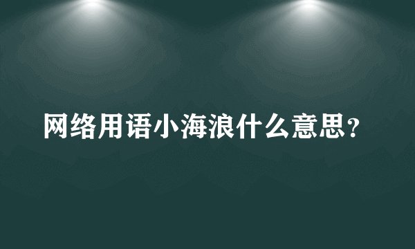 网络用语小海浪什么意思？