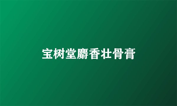宝树堂麝香壮骨膏