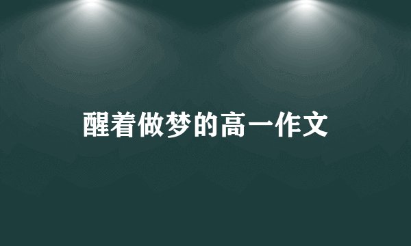 醒着做梦的高一作文