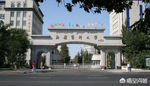 新疆医科大学与新乡医学院比较哪一个好？