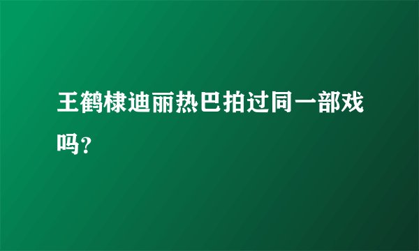 王鹤棣迪丽热巴拍过同一部戏吗？