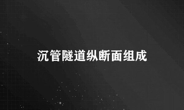沉管隧道纵断面组成