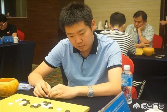 最强大脑鲍橒那么聪明,为什么只是围棋业余6段?