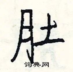 肚组词_肚字怎么组词_肚组词有哪些_带肚字的词语