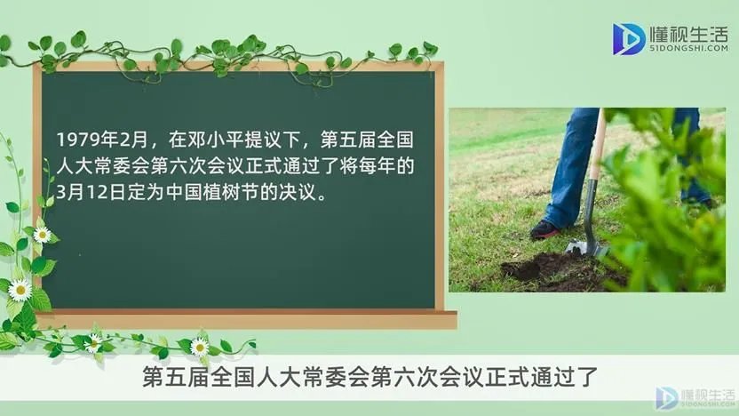 植树节由来