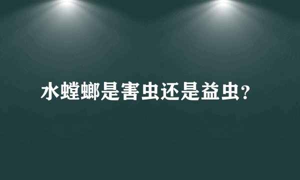 水螳螂是害虫还是益虫？