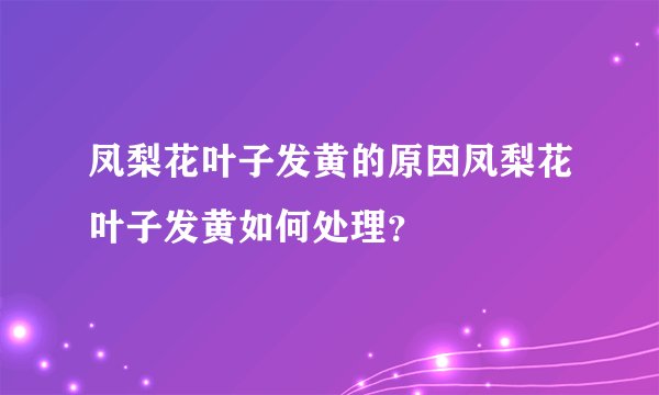 凤梨花叶子发黄的原因凤梨花叶子发黄如何处理？