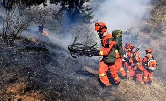 四川火灾最新消息今天 凉山森林火灾原因揭秘