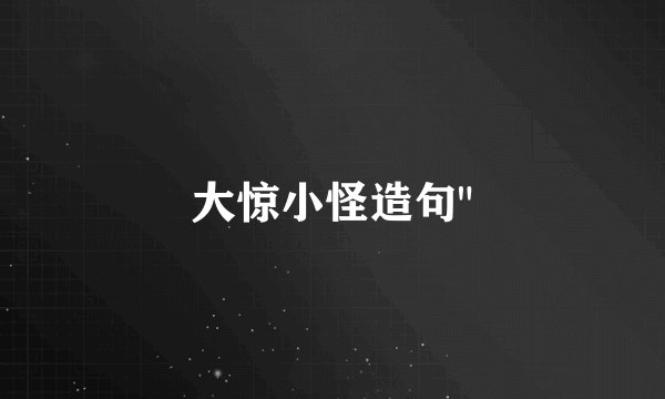 大惊小怪造句