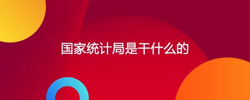 国家统计局是干什么的
