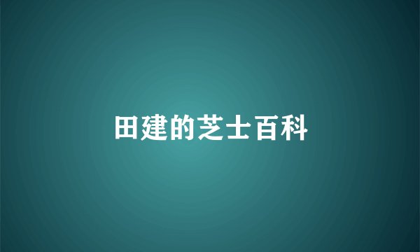田建的芝士百科