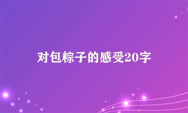 对包粽子的感受20字