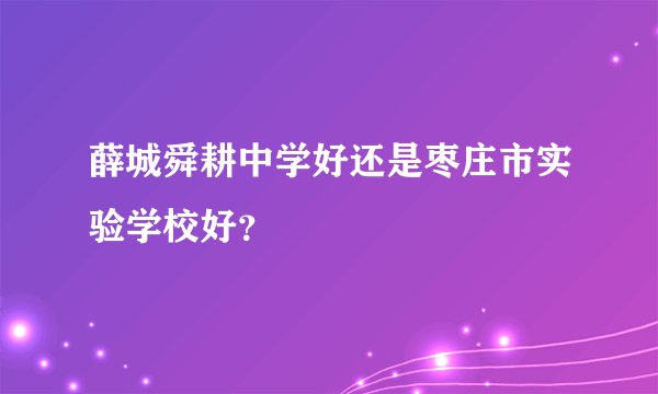 薛城舜耕中学好还是枣庄市实验学校好？