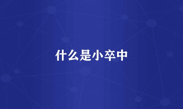 什么是小卒中