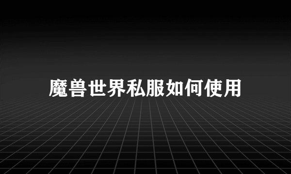 魔兽世界私服如何使用