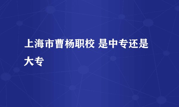 上海市曹杨职校 是中专还是大专