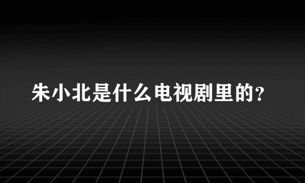 朱小北是什么电视剧里的？