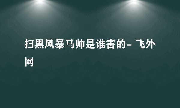 扫黑风暴马帅是谁害的- 飞外网