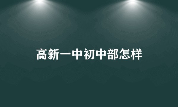 高新一中初中部怎样