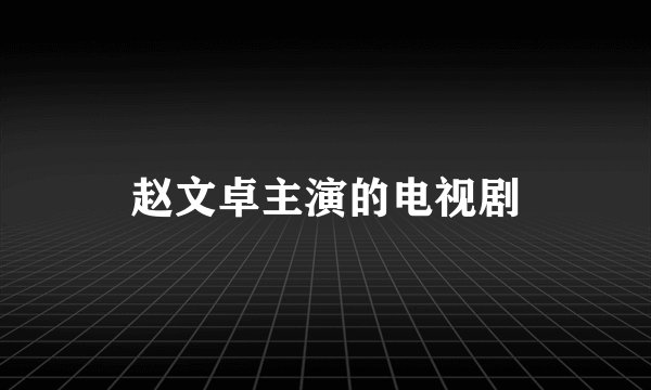 赵文卓主演的电视剧