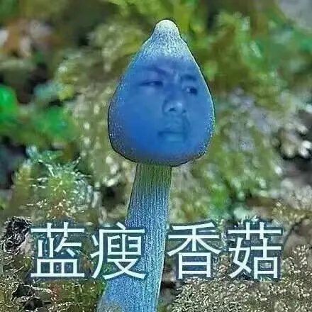 蓝瘦香菇是什么意思？