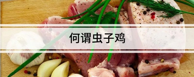 何谓虫子鸡