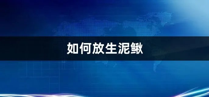 如何放生泥鳅